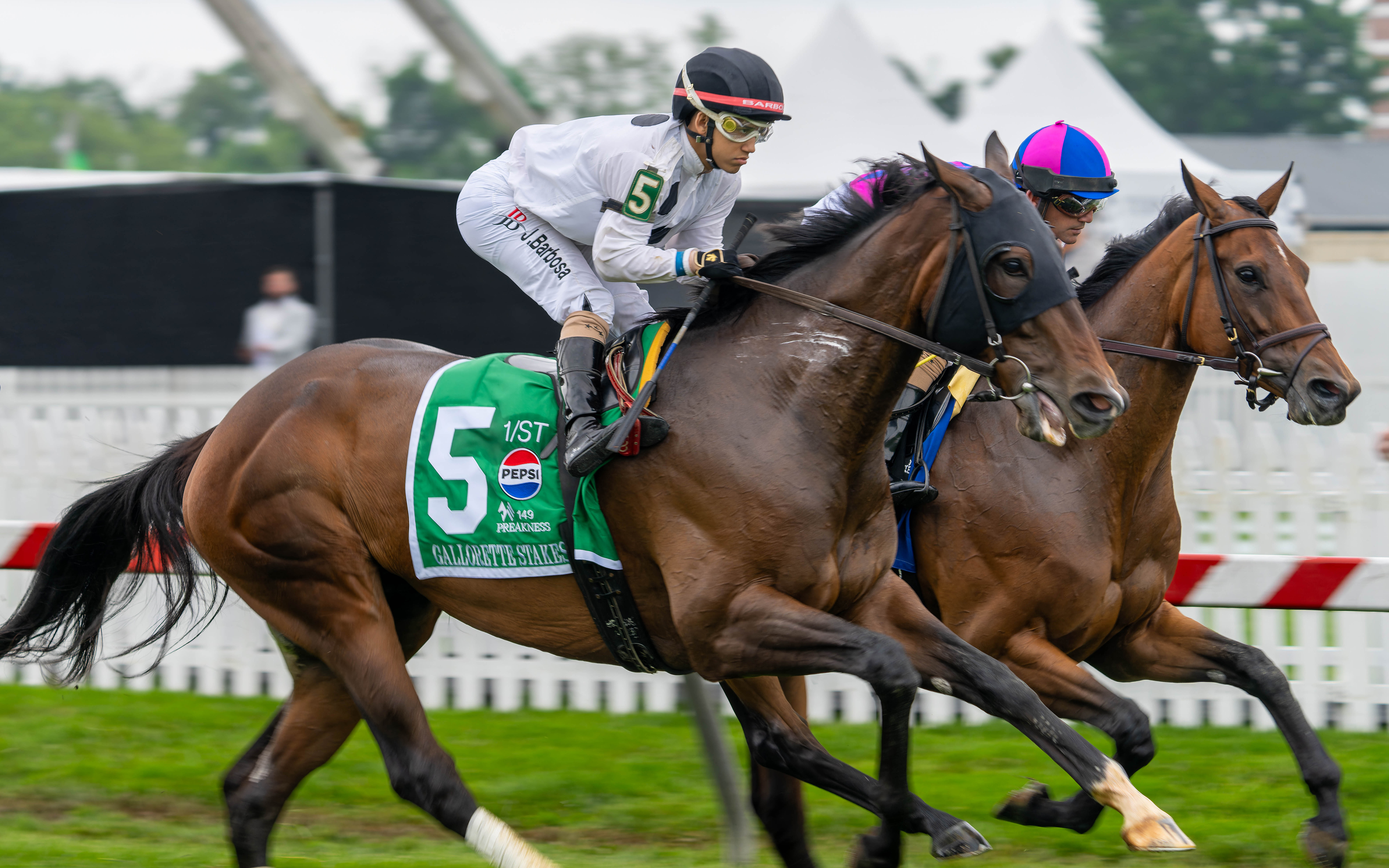 Jockeys Riding Horses